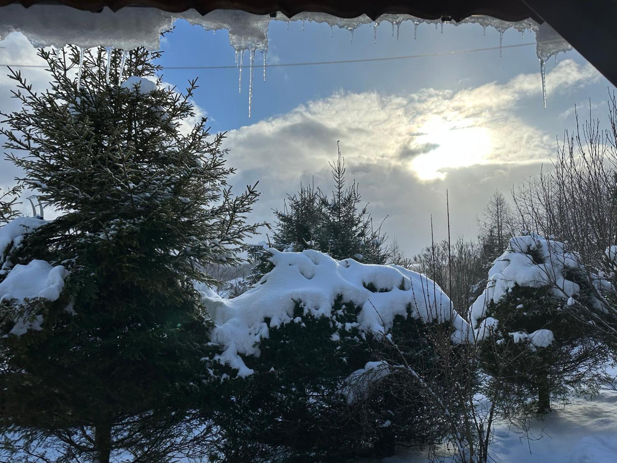 Urocza Chata Z Sauna W Bieszczadzkim Parku Krajobrazowym Bukowiec  Exteriér fotografie